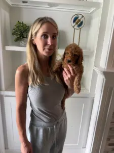 mini goldendoodle puppies for sale