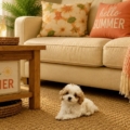 parti cavapoo puppies