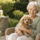 Best Small-Dog Breeds for Seniors: Why Many Retirees Prefer Toy Poodles Over Chihuahuas and Shih Tzus